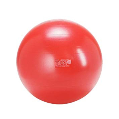 Vingrošanas bumba Gymnic Classic Plus, 55 cm